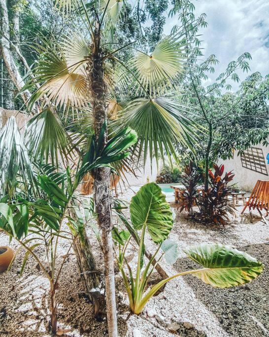 Сasa de vacaciones Casa Arena Tulum